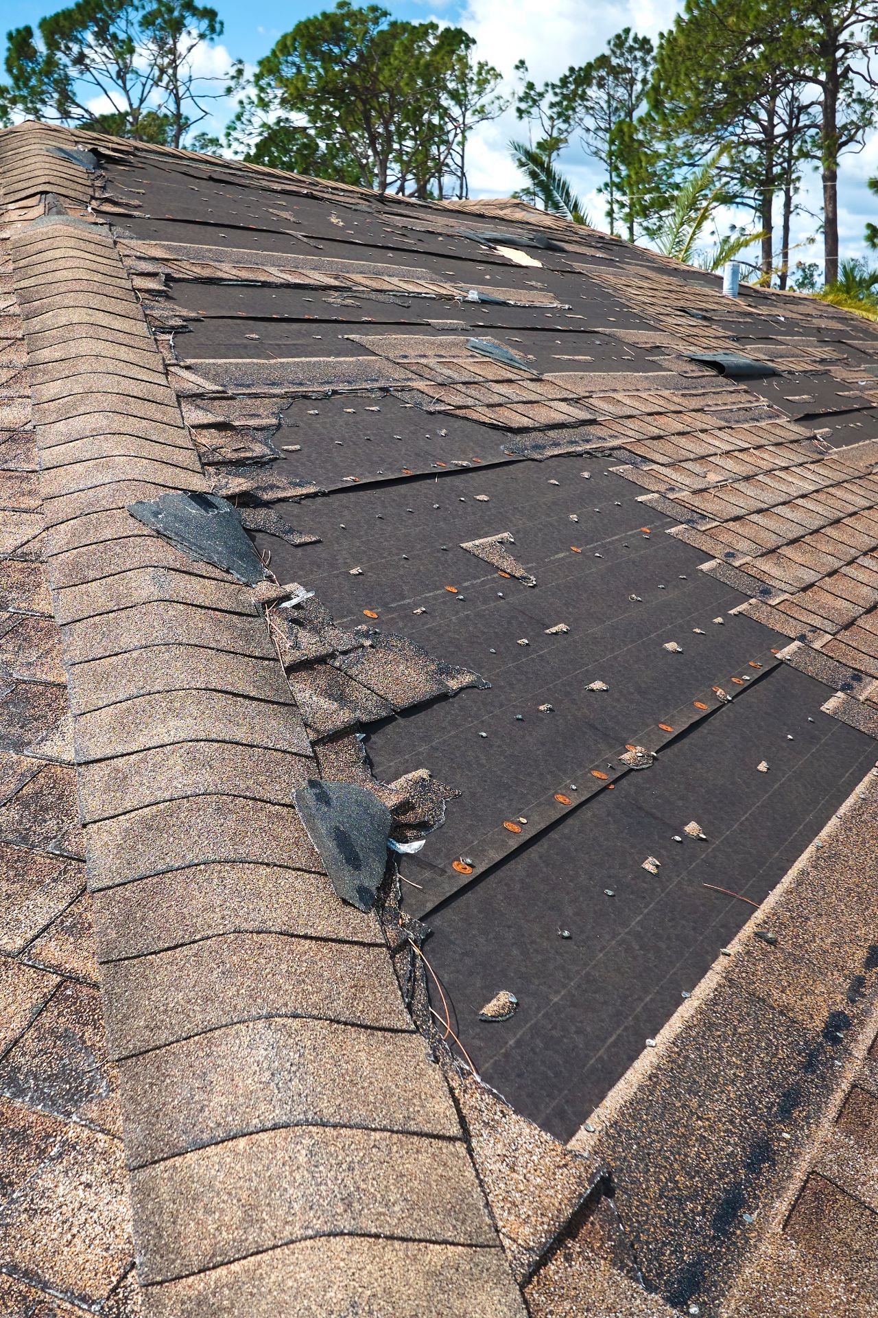 Advanced Roofing & Construction LLC Image